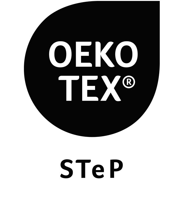 Logo STeP